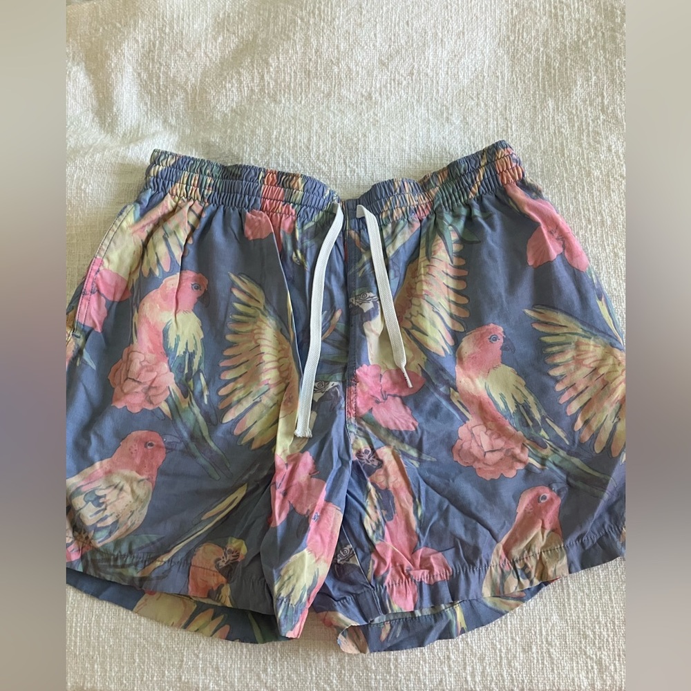 Chubbies Swim